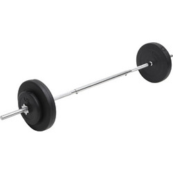vidaXL 93585 Ίσια Μπάρα Σετ με Βάρη 30kg Φ25mm 165cm με Βιδωτά Κολάρα
