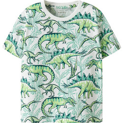 Name It Παιδικό T-Shirt Κοντομάνικο Λευκό Πράσινο 13241581
