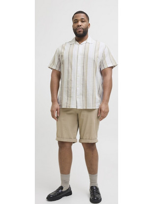 Jack & Jones Ανδρικό Πουκάμισο Βαμβακερό Ριγέ Κοντομάνικο Κανονική Γραμμή Βεραμάν 12278452