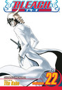 Bleach, Vol. 22 Bleach, Vol. 22