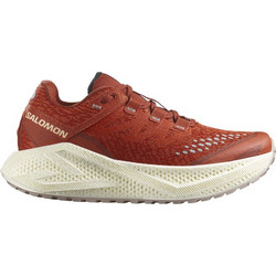Salomon Aero Glide 3 Γυναικεία Αθλητικά Παπούτσια για Τρέξιμο Ταμπά L47812700