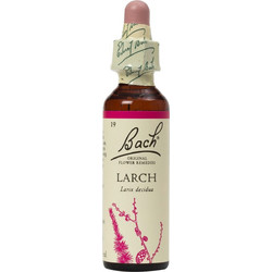 Power Health Bach Larch Ανθοΐαμα σε Σταγόνες για Αυτοπεποίθηση 20ml