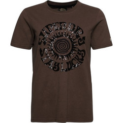 Superdry Vintage Embellish Γυναικείο Αθλητικό T-Shirt Καφέ W1010982A-TSJ