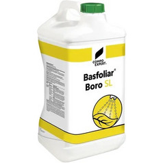 Compo Basforiar Boro SL Υγρό Διαφυλλικό Λίπασμα Βορίου 1lt