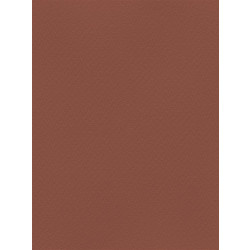 Favini Χαρτόνι Κανσόν Σοκολατί 50x70cm 831.5070.11T