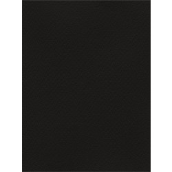 Favini Χαρτόνι Κανσόν Μαύρο 70x100cm 831.70100.14T
