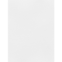 Favini Χαρτόνι Κανσόν Λευκό 70x100cm 831.70100.03T