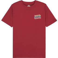 Quiksilver Παιδικό T-Shirt Κοντομάνικο Μπορντό EQBZT04966-RQZ0