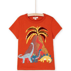 Dpam Παιδικό T-Shirt Κοντομάνικο Πορτοκαλί ROSUMTI1