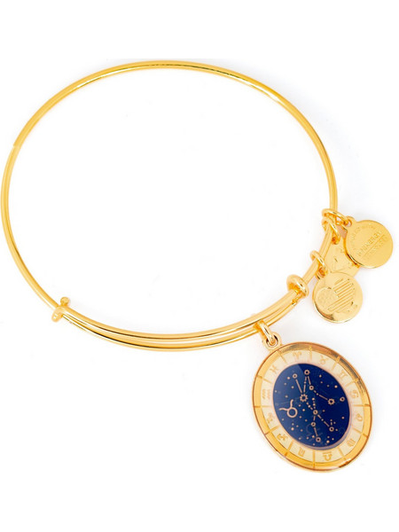 Alex and Ani Γυναικείο Βραχιόλι Βέργα Xρυσό A15EB68YG
