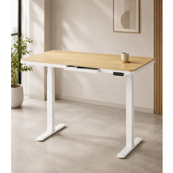 ErgoAction Ξύλινο 138x68x122.5cm 114731