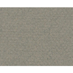 Canson Mi-Teintes Χαρτόνι Κανσόν Γκρι 50x65cm 105322429
