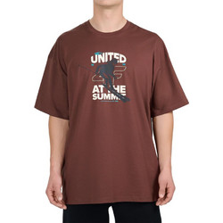 4F Ανδρικό Αθλητικό T-Shirt Καφέ 4FWAW26TTSHM3560-80S