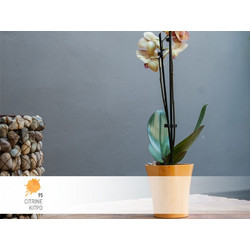 Κασπώ στρογγυλό Lily Natura No 669.5-95 Φ15x14cm Citrine