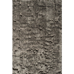 Kayoom Χαλί Ορθογώνιο 160x230cm Tender 125 Green