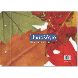 Salko Φυτολόγιο B4 24 Φύλλων 10406