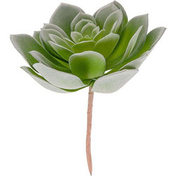 Τεχνητό Φυτό Hen Succelent Pick PT3662 17,8x14,7x19cm Green Present Time Πλαστικό