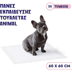 Πάνες Εκπαίδευσης 60x60 25τμ 60x60cm
