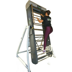 Luxury Climbing Ladder Stepper 2