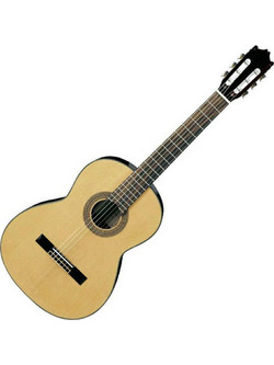 Ibanez G-100