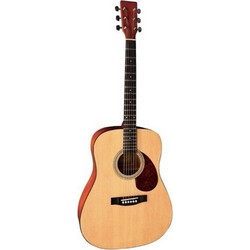Gewa VGS D-1 Natural