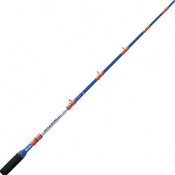 Colmic Wild Tuna 80Lbs Καλάμι Ψαρέματος για Συρτή 1.8m