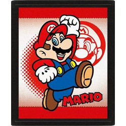 Κάδρο Pyramid International Super Mario 10X8 3D Poster EPPL71308