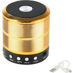WS-887 Ηχείο Bluetooth 3W με Ραδιόφωνο Χρυσό