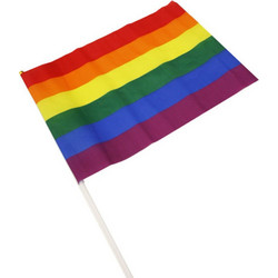 PRIDE - LGBT FLAG LARGE PENNANT