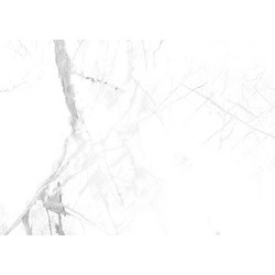 WALL PANEL SPC CALACATTA SNOW 60579 60cm x 120cm