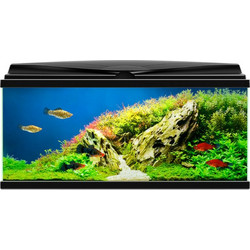 Ciano Aqua 80 Ενυδρείο Ψαριών με Φωτισμό & Φίλτρο 71lt Μαύρο