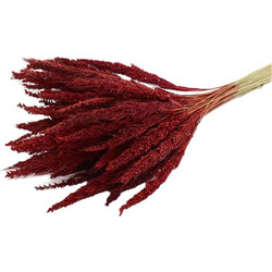 Pinion Grass Slv RED - Plastona