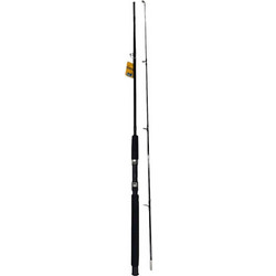 Tradesor 30754 Καλάμι Ψαρέματος για Casting Δίσπαστο 2.4m 100-200gr