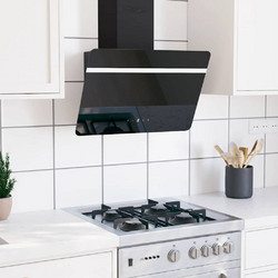 vidaXL 51671 Απορροφητήρας Καμινάδα-Τζάκι 60cm Μαύρος