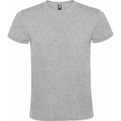Roly Atomic 150 Ανδρικό Διαφημιστικό T-shirt Κοντομάνικο ΓΚΡΙ ΑΝΟΙΧΤΟ