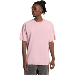 DICKIES PLENTYWOOD T-SHIRT PINK