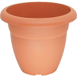 VIOLET ΓΛΑΣΤΡΑ TERRACOTTA ΜΕ ΠΙΑΤΟ - ΚΑΦΕ
