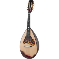 Atsushi Miyano Round Back Mandolin M-1 RR