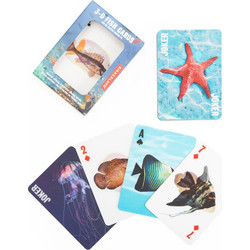 Kikkerland - Fish 3D Cards