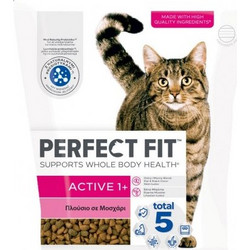 Perfect Fit Active 1+ with Beef 750gr