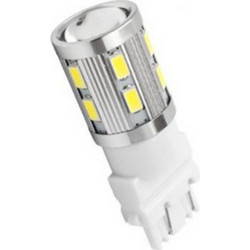 BELTEC AUDIO LED T25 D CAN Λάμπα T20