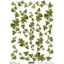 Ριζόχαρτο ivy 21x29εκ. (ITD-R321)