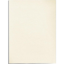 Χαρτονάκι Α3 δέρμα 250gr 1φ ivory