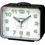 Casio TQ-218-1BDF