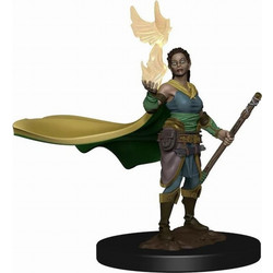 D&D Icons of the Realms Premium Μινιατούρα - Elf Female Druid