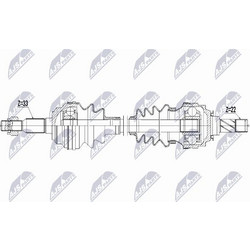 NTY NPW-PL-197