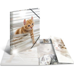 Shiny A4 Cat Briefcase 19328