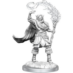 D&D Nolzur's Marvelous Miniatures: Elf Cleric Male