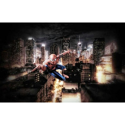 Φωτοταπετσαρία Spiderman 6