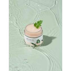 Round Lab Mugwort Calming Moisturizer 80ml